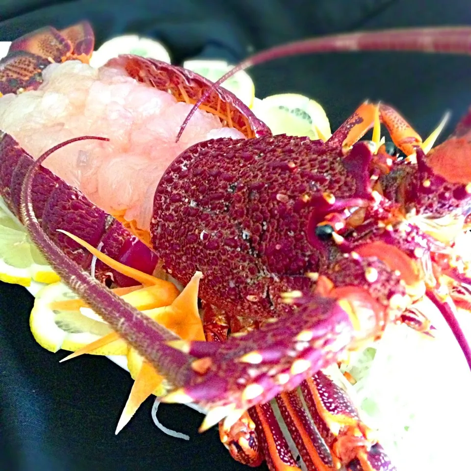 Sashimi Lobster|Lynh Lynhさん