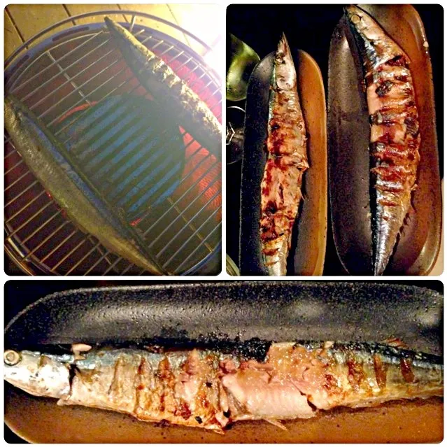 Charcoal-grilled Pacific saury🔥炭火焼秋刀魚|🌈Ami🍻さん