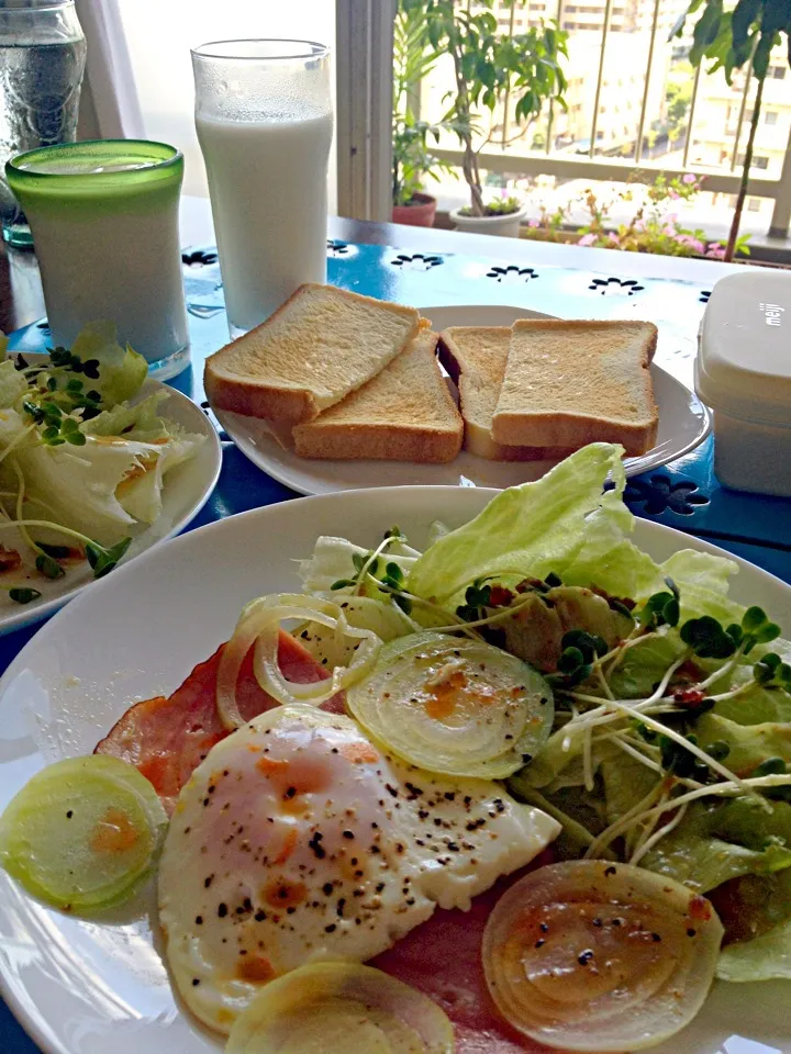 Snapdishの料理写真:Toast and ham egg salad, breakfast  for a sunny Sunday ☀|judith sawahataさん