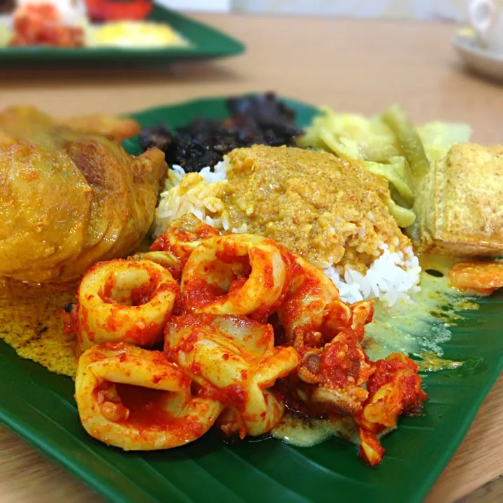 Snapdishの料理写真:Nasi padang|willzさん