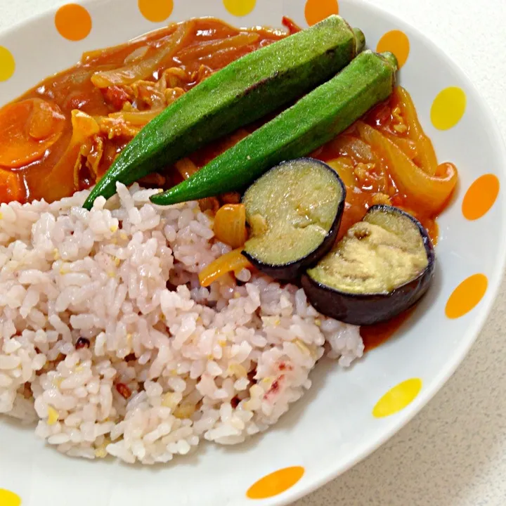 夏野菜カレー|半田彩乃さん