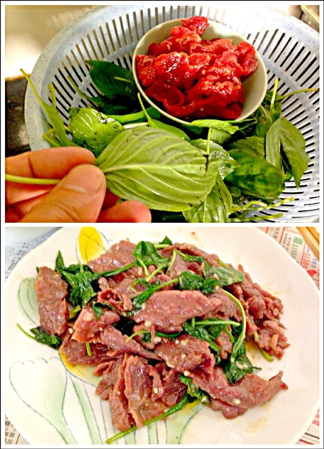 thai basil beef|wongさん