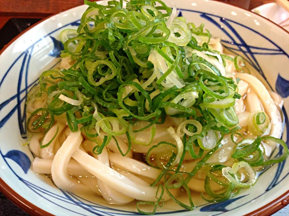 丸亀製麺   冷やし梅おろしうどん🍜|youさん