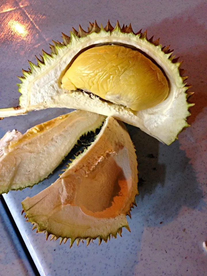 Durian @ Taman Yulek|Towie Leeさん