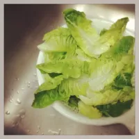 Snapdishの料理写真:Fresh romaine salad|Jillさん