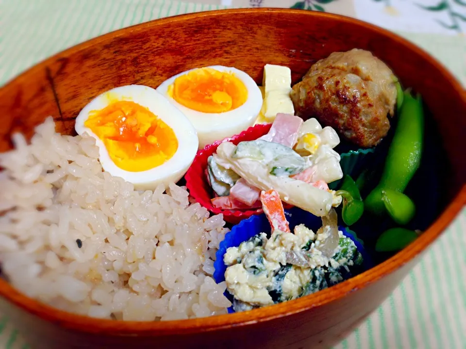 今日のお弁当 ハンバーグ弁当|はなおさん