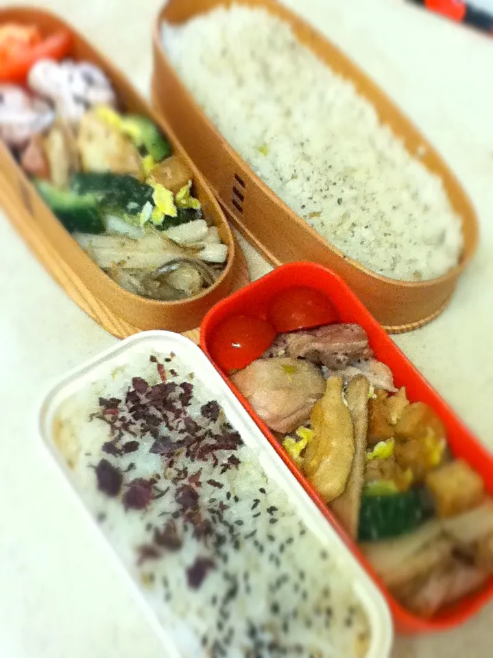 Today's lunch box. singapore chicken rice (leftover) ほぼ昨夜の残りでお届けしておりますw|hoppycowさん