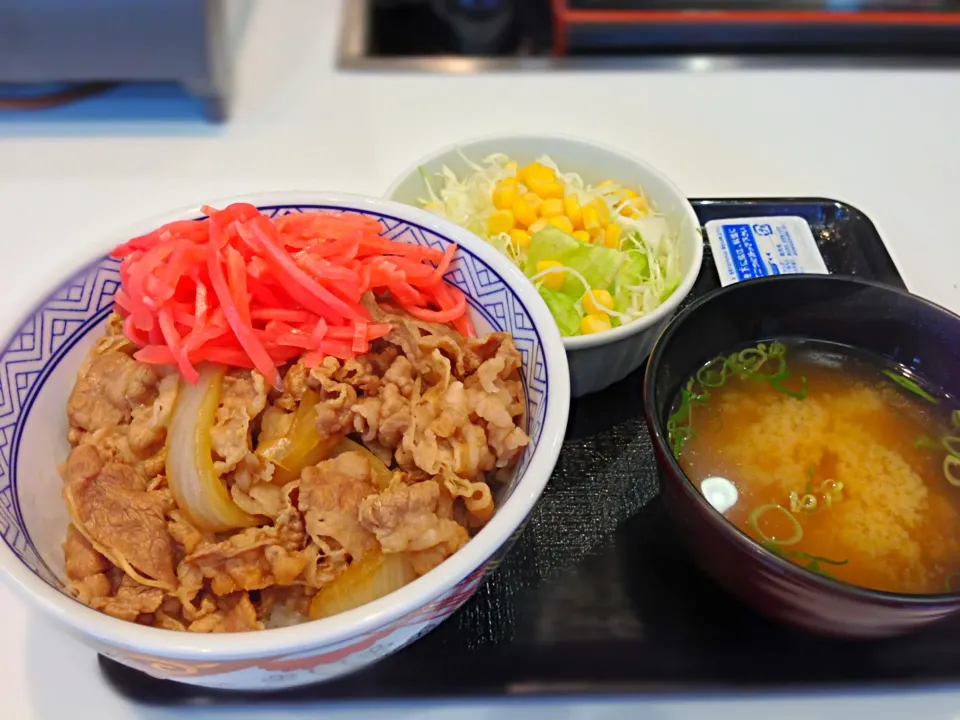 牛丼並盛ご飯軽め|おかっぴーさん