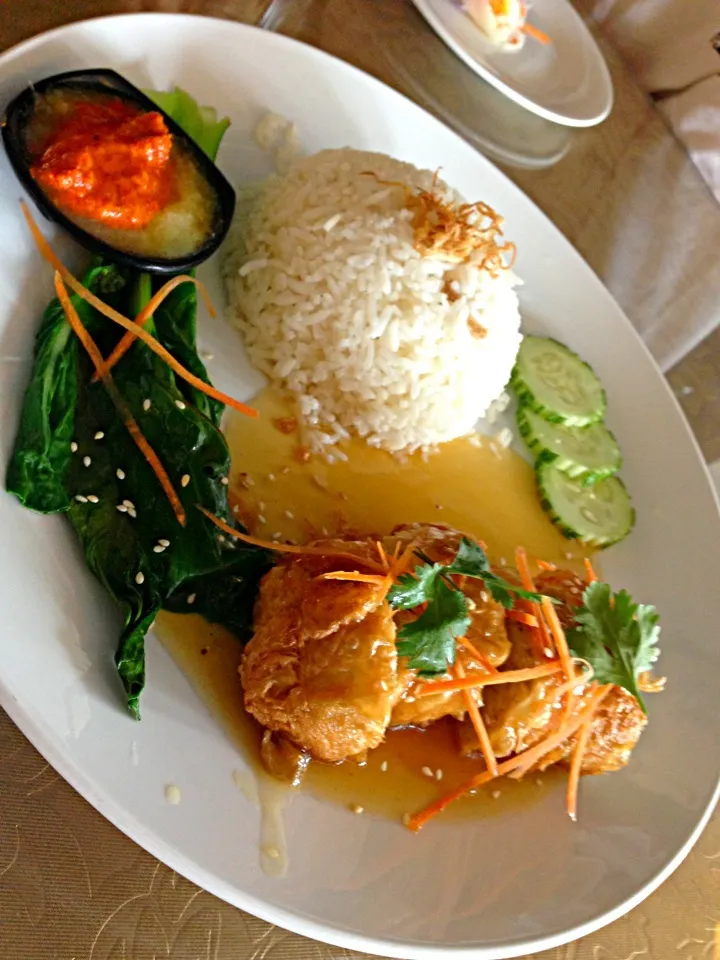 Hainan Chicken Rice|LyzelleMayさん