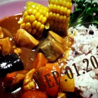 Snapdishの料理写真:夏野菜カレー|あいたりんさん