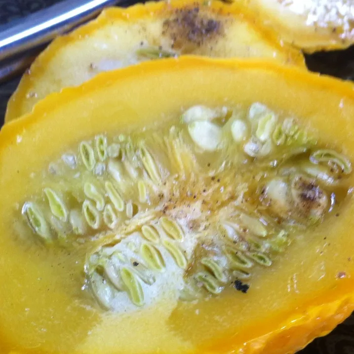 Yellow crookneck squash|virginia frasseさん