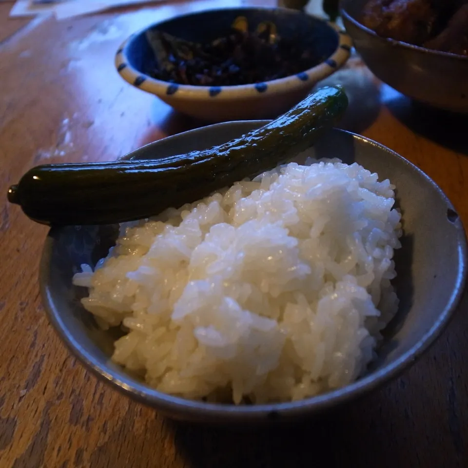 胡瓜の漬け物 on 炊きたてご飯|Taketoshi Satoさん