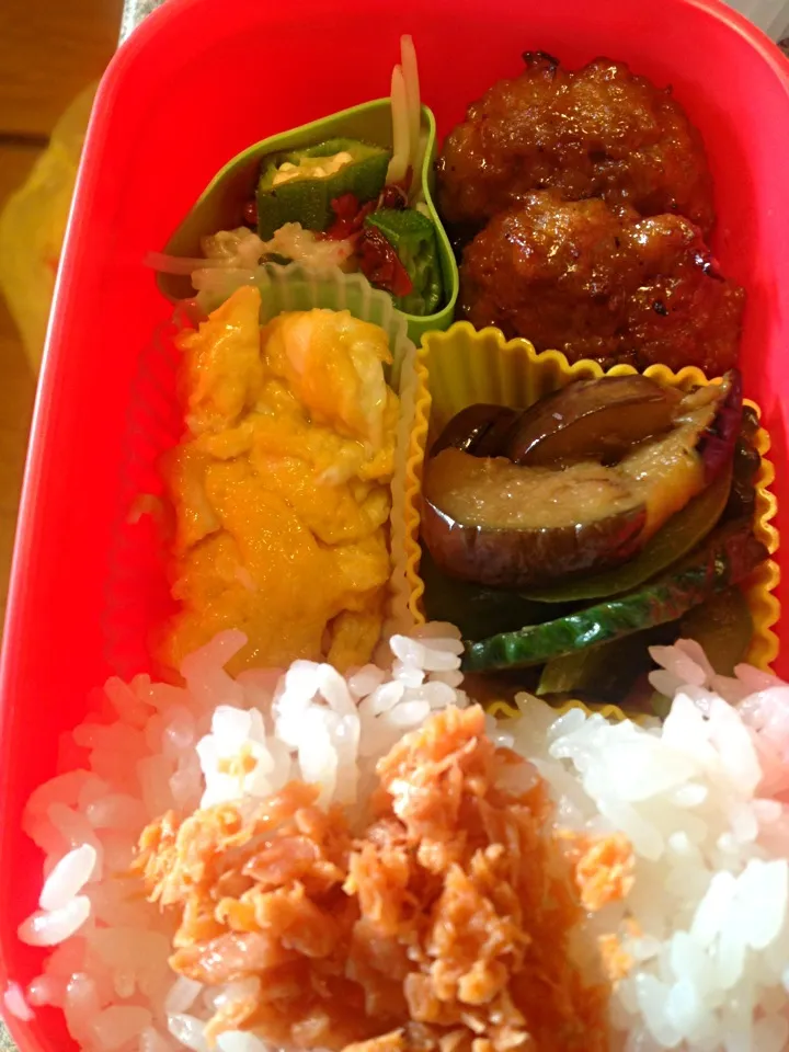 ナスとゴーヤやピーマンの消費に が入ったお弁当|めーらさん