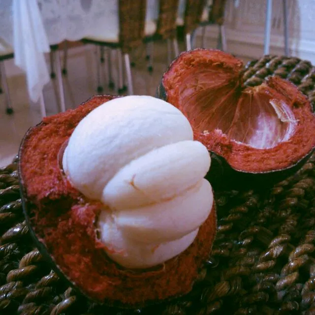 Snapdishの料理写真:mangosteen #favorite #fruit|Michelle Ann Elazeguiさん