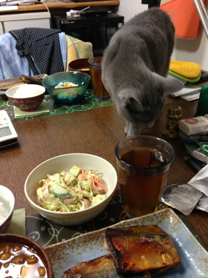 鯖の味噌漬け焼き、アボカドのコールスロー、ナメコと豆腐の赤だし|yuyangさん