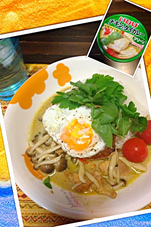 Snapdishの料理写真:いなばのグリーンカレー|morimi32さん