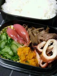 お弁当（ご飯、牛肉とごぼうの甘辛煮、焼きイカ、かぼちゃのきんとん、きゅうりの酢の物、茗荷の甘酢漬け）|すーさん