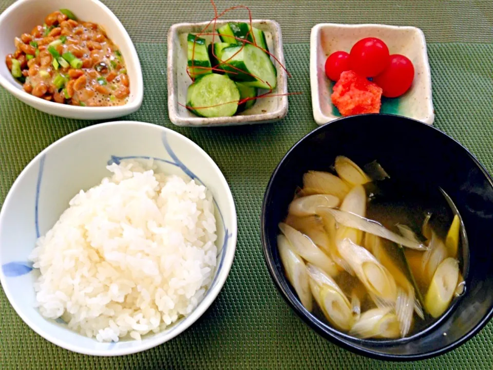 Snapdishの料理写真:Rice,miso soup(Seaweed&leek)  Pickles&Natto🍚浅漬け,納豆,お味噌汁(ねぎ&わかめ),白飯|🌈Ami🍻さん