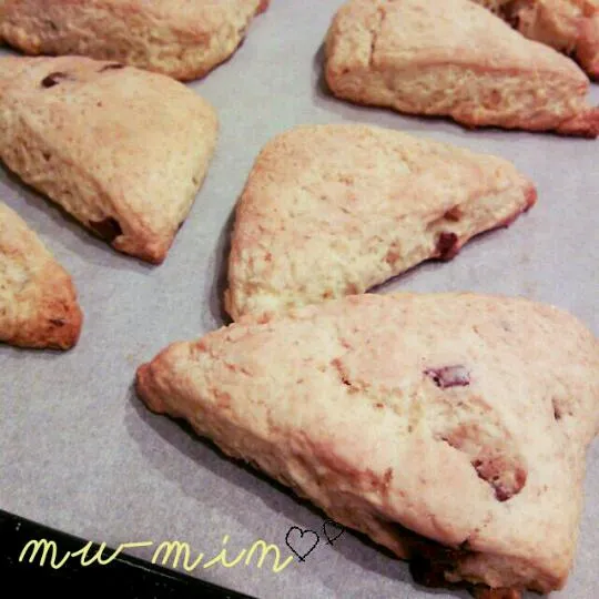 Snapdishの料理写真:chocolate scone.*|mu-minさん