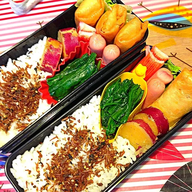 春巻き弁当|かぶこさん