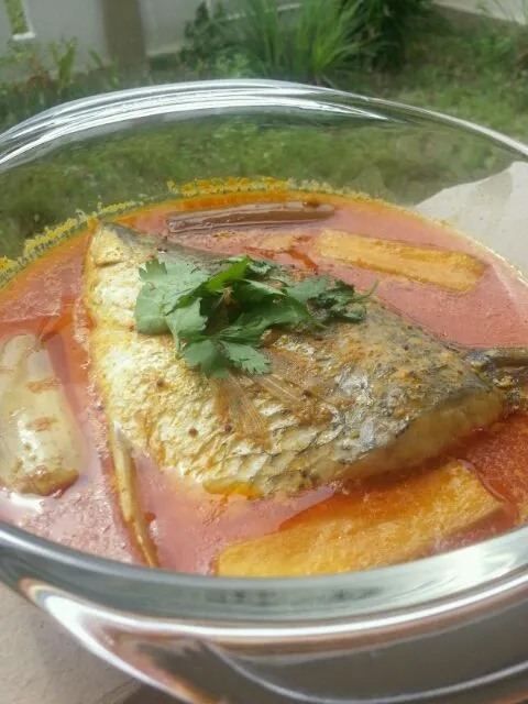 Indian Style Seabass Fish Head Curry|Mrs BNazさん