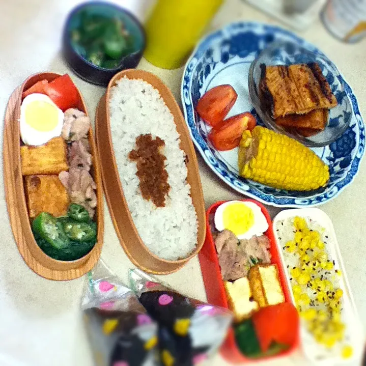 Today's foods. 私の弁当およびJK弁当+バイト前の軽食オニギリ+帰宅後の夕食。ぜいぜい^^;|hoppycowさん