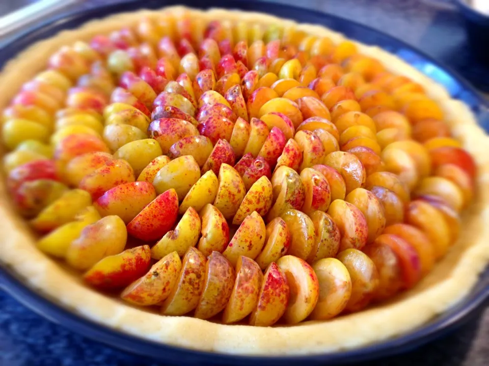 Tarte aux mirabelles|Makotoさん