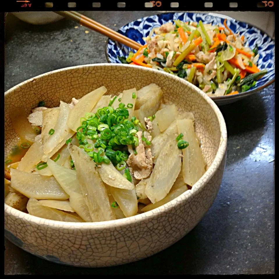 Snapdishの料理写真:牛肉ゴボウ大根の煮物＆小松菜と春雨の中華炒め|ロック♪さん