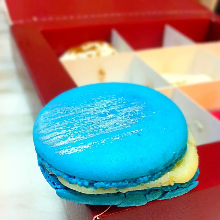 Macaron!!;'D|☆クモミン★♪さん