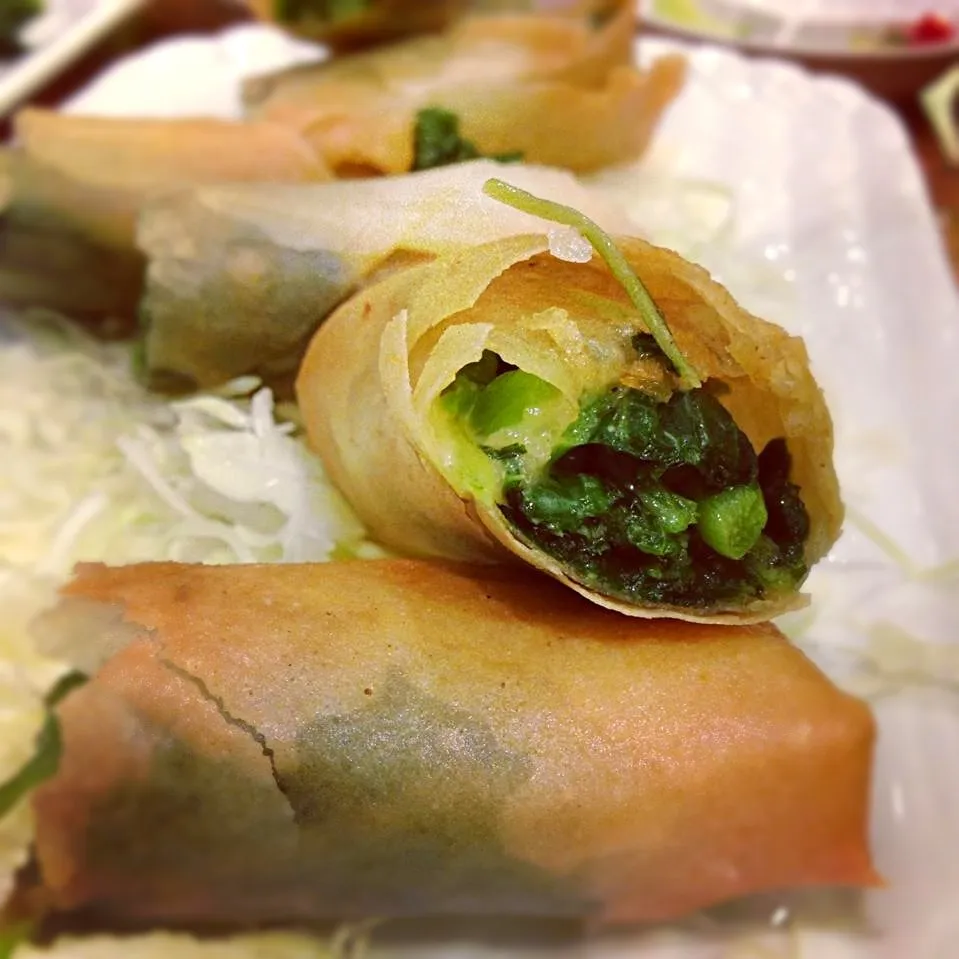 Spinach spring rolls เปาะเปี๊ยะไส้ผักโขม|Yui Phiphitphakdiさん