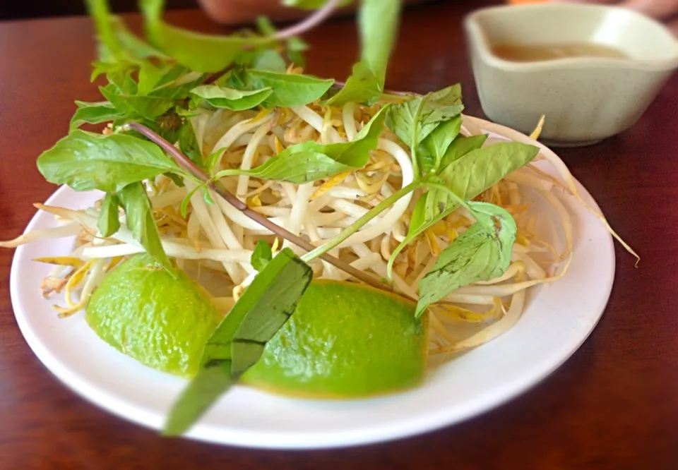 Vietnam pho tai veggies|shaine91さん