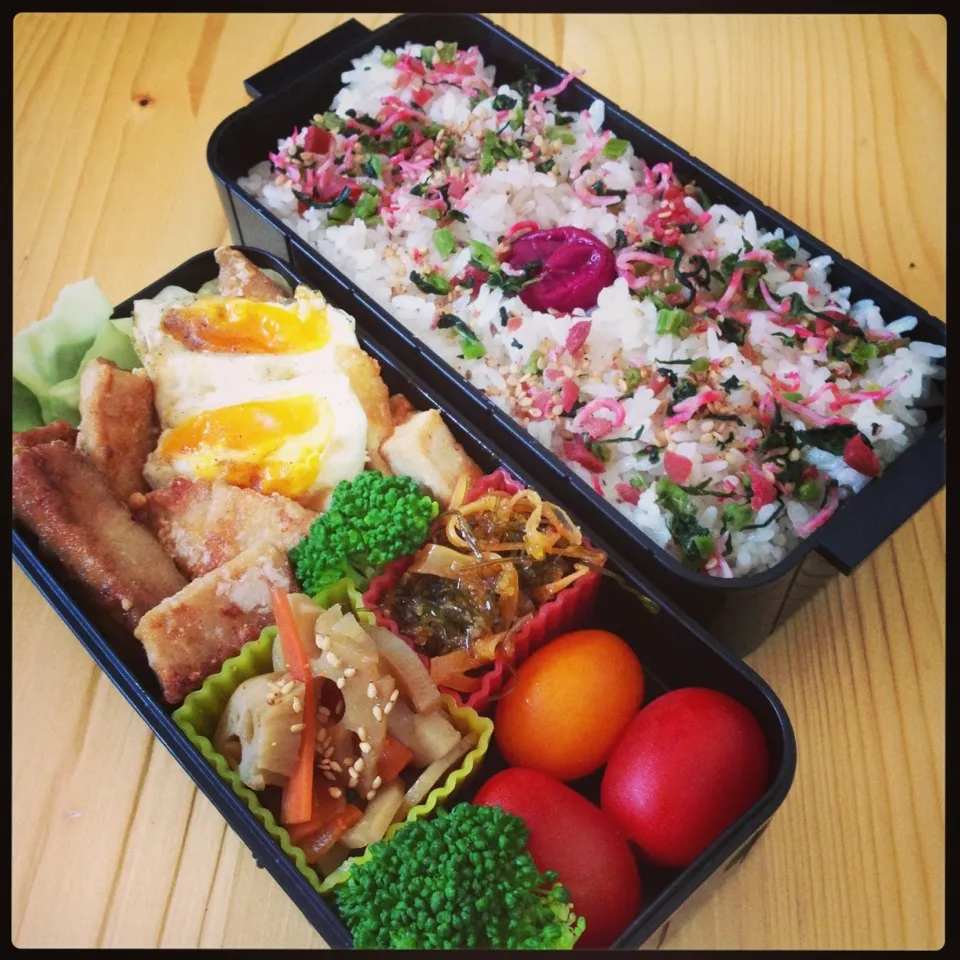 Snapdishの料理写真:パパ弁当9.9|まゆさん