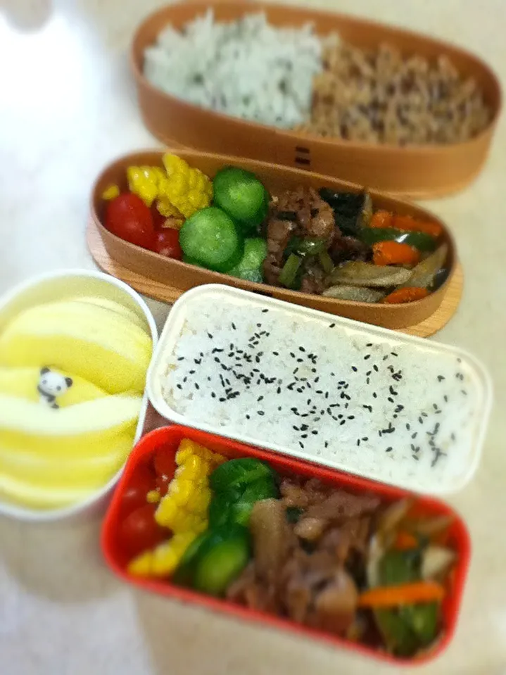 Today's lunch box. 朝、肉を焼いていたら、生姜焼き星人のハニーが眼からクレクレビームを発射していたw|hoppycowさん