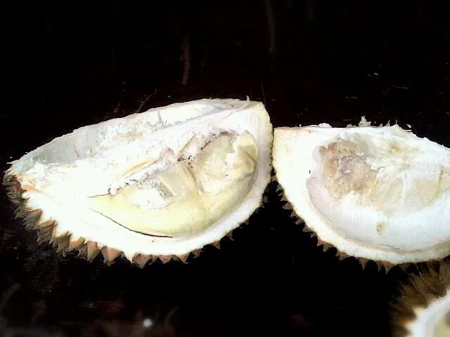 King of fruits, DURIAN from kelantan MALAYSIA|korinoさん