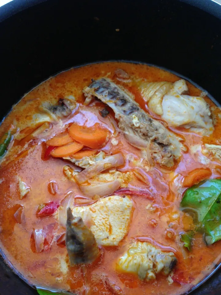 Chicken Tomyam with Coconut Milk !|noorabitaさん