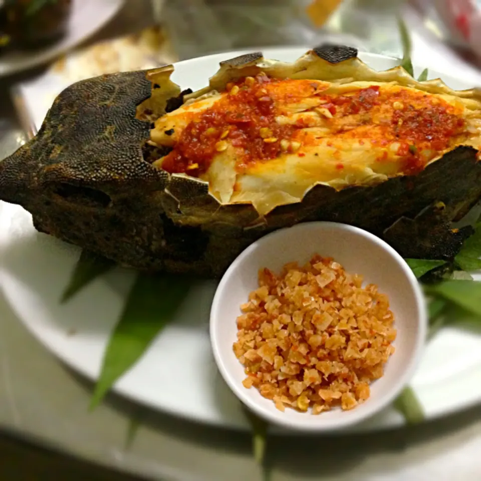 Grilled box fish with chili salt (Cá bò hòm nướng muối ớt)|Thien Anさん