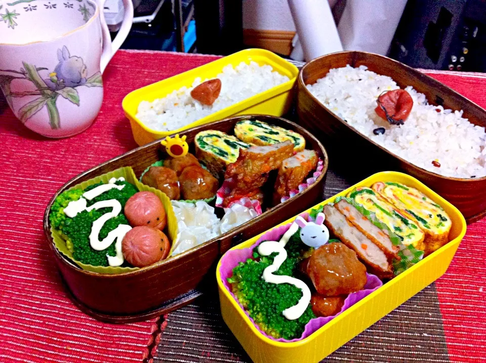 本日の彼氏くんお弁当。|ねこ。さん