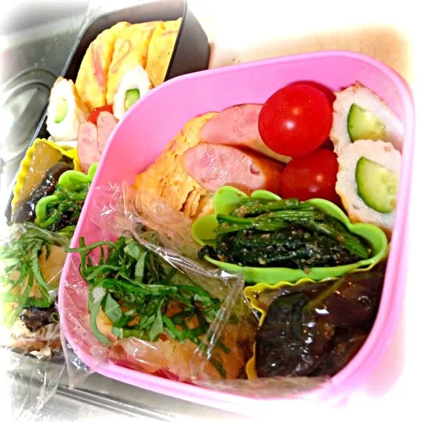 Snapdishの料理写真:9/9のお弁当|みほさん