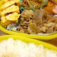 今日のお弁当☆*:.｡. o(≧▽≦)o .｡.:*☆|ハニビーさん