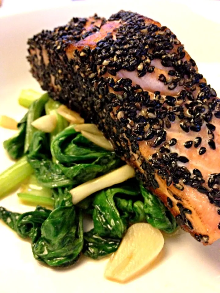 Sesame crusted salmon with honey soy bok choy|12Dragonさん