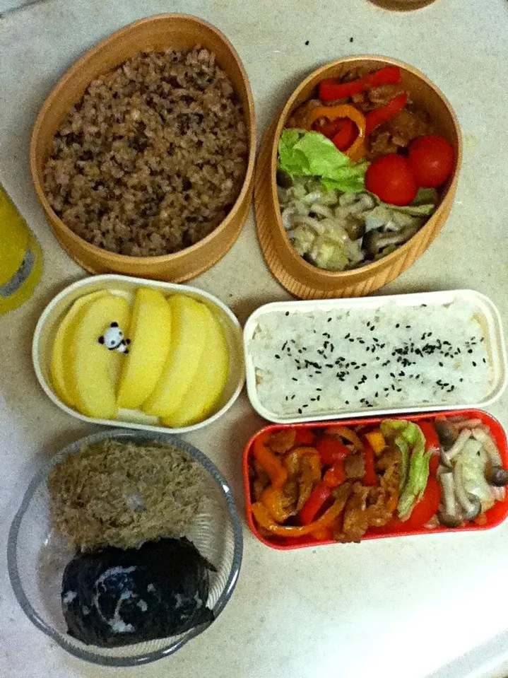 Today's lunch box. JKバイト前の軽食オニギリ、いっこはmy loveとろろ昆布♪|hoppycowさん