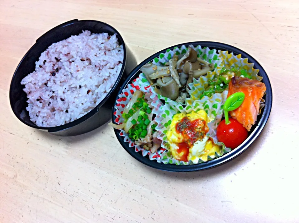 今日のお弁当(bﾟv`*)|かずさん