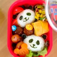 Snapdishの料理写真:初めての遠足弁当|ゆきりんさん