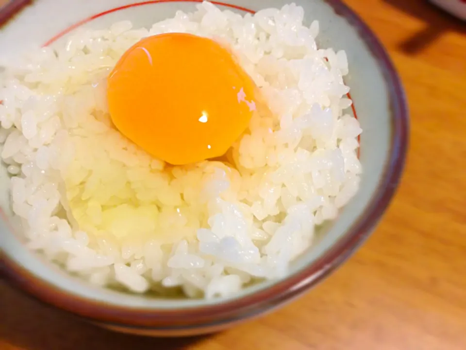 卵かけご飯|ひなっとうさん