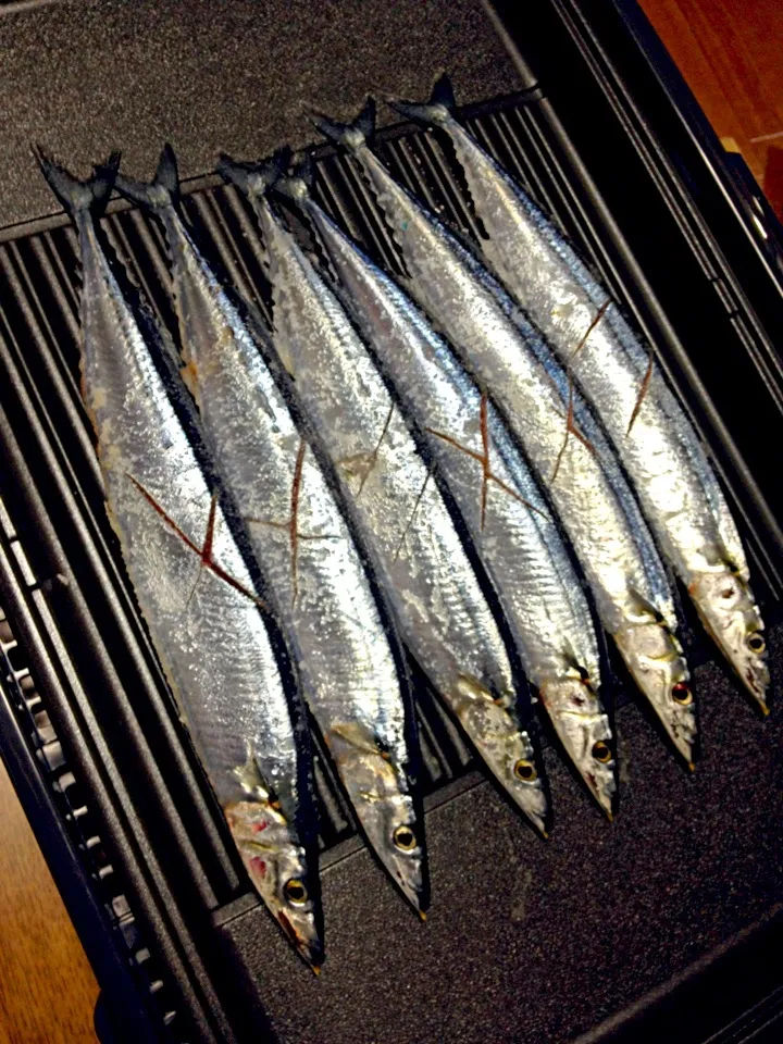 さんまの塩焼き|mayさん