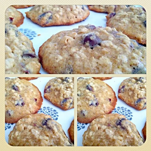 Choco-Chip Cran-Oatmeal Cookies|JC ELLINGERさん