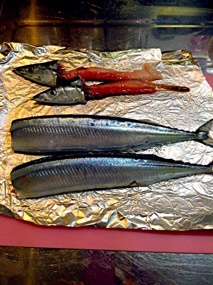 Snapdishの料理写真:秋刀魚の下処理|Mayuさん