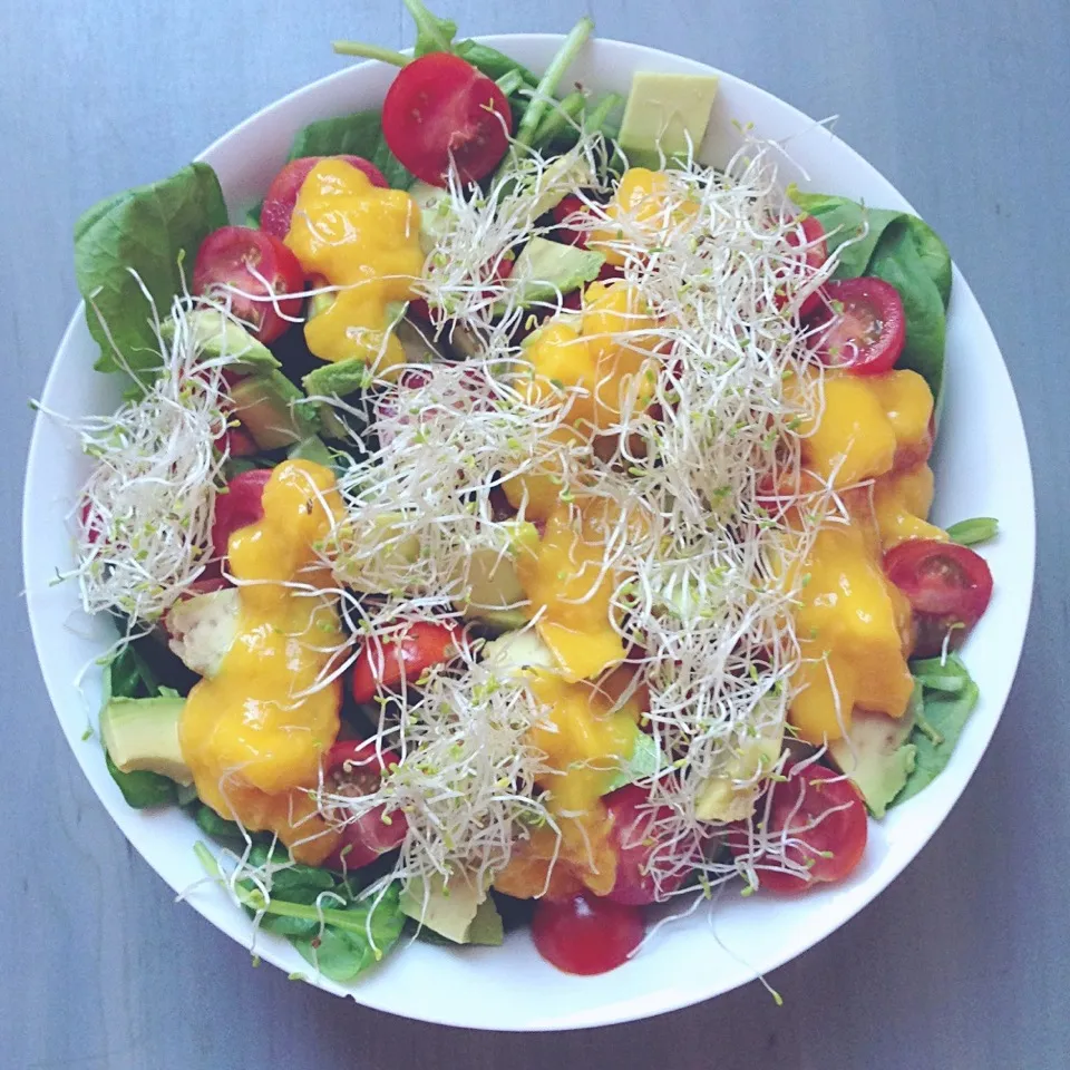 Spinach • Cucumber • Cherry tomatoes • avocado • alfalfa sprouts • blended mango with lime juice|Rianneさん