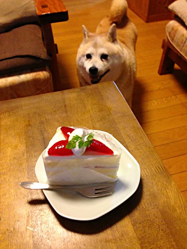 Snapdishの料理写真:お誕生日おめでとう！|ごはんできたよ〜さん