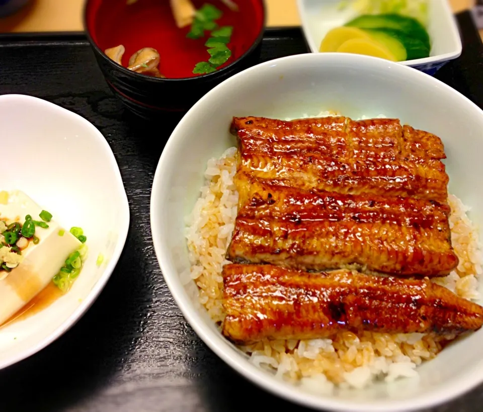 新宿登亭の鰻丼 鹿児島産^ ^|tonさん